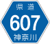神奈川県道607号アイコン